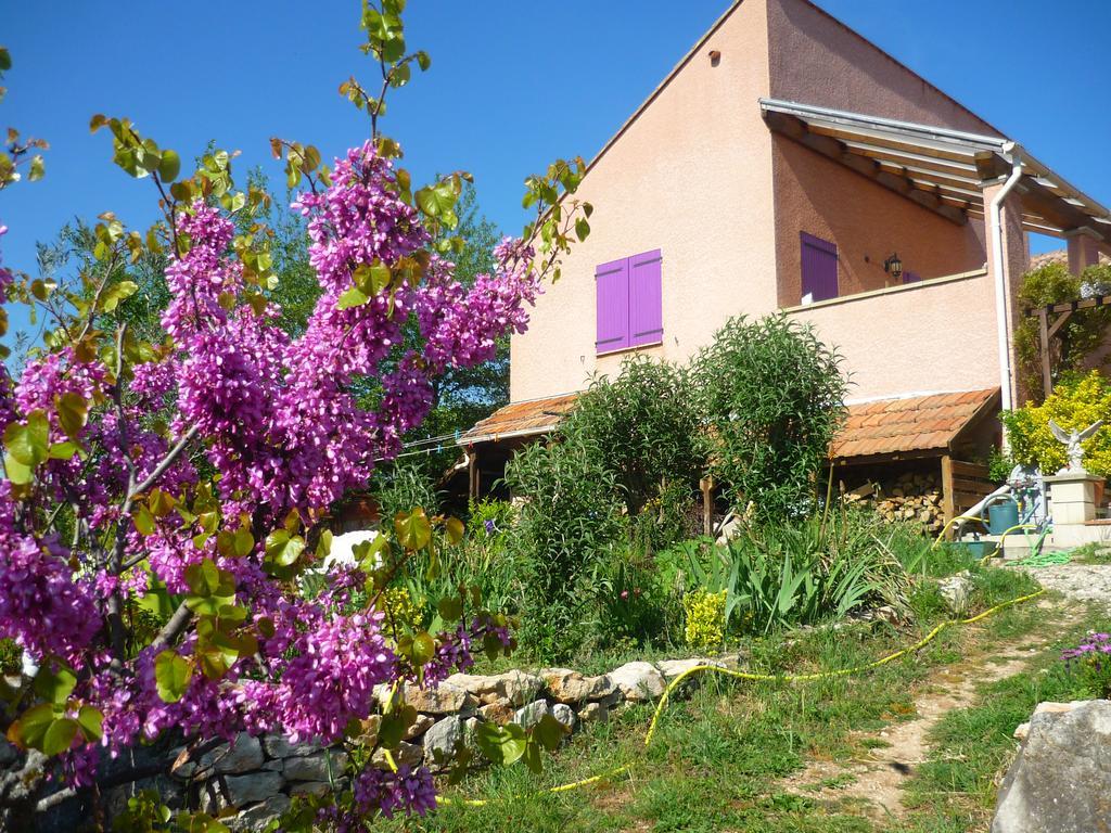 Le Gite De Cristal Proche Bugarach Granes Exterior photo