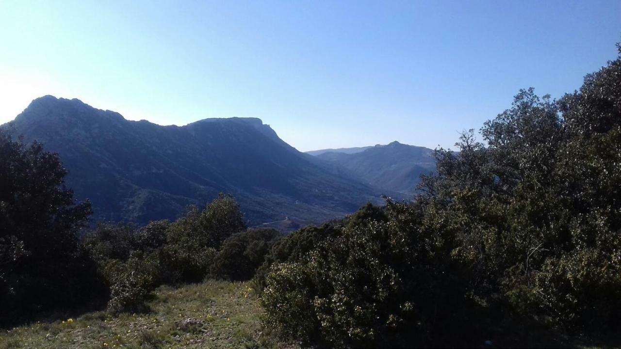 Le Gite De Cristal Proche Bugarach Granes Exterior photo